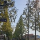 사림동154 이미지