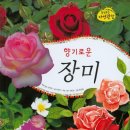 장미한우 이미지