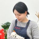 달링하이 강아지분양 밀양점 이미지