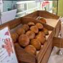 곤드레과일타르트만들기 | [원신흥동 대전 베이커리 맛집] 마마꿍 과일 타르트 솔직 후기 + 인기 메뉴 꿀팁 정리