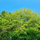 실바람공원 이미지