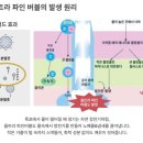 냥스터치 이미지
