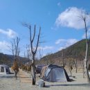 포시즌오토캠핑장 이미지