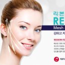 당당리본
