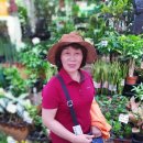 조공화원 이미지