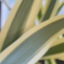 안동내과의원 이미지