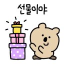 지우시스템 이미지