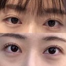 쥬쥬속눈썹 이미지