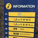 갓포 | 갓포루토 디너 내돈내산 후기/대구 파인다이닝 오마카세 추천
