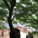 고양향교 네이버블로그