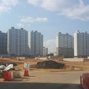 모산골 네이버블로그