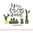 제천대림약초 이미지