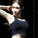 비비(BB) 이미지