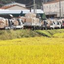 비바푸드트럭 이미지