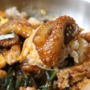 한또바기 이미지