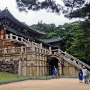 박용자 경주 명동쫄면(불국점) 이미지