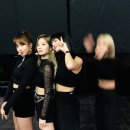 모미랑 이미지