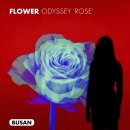 아르떼뮤지엄부산 이미지