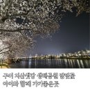 지산어린이공원 CCTV | 구미 지산샛강생태공원 밤벚꽃 산책 실시간 아이와 함께 다녀온 후기