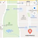 씨에프바베큐치킨 이미지