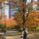 참빛교회 맞은편 횡단보도 | 24개월 다나와 서울여행/ 원조호수삼계탕, 더현대서울 크리스마스, 해리상점, 켄싱턴호텔 여의도