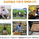 이금례농장 이미지