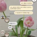 맛있는레시피 포트폴리오 | 잃어버린 여름을 찾아서