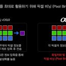 픽셀라인 이미지