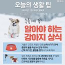 ＜오늘의 날씨 🌞☔️☃️＞ 2023년 1월 30일 월요일 이미지