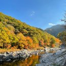 SUN행정사무소 | 지리산국립공원 예약방법 / 학천야영장 카라반 후기(달궁야영장 비교)