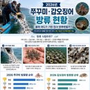 2026년 쭈꾸미/ 갑오징어 치어방류현황 이미지