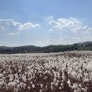 쪼닭성서계명대점 이미지