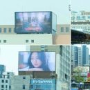 설레임몰 스타데일리뉴스 