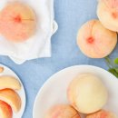 금강농원 이미지