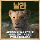 사자코리아 이미지
