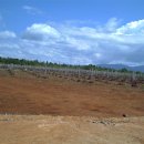 성진농장 이미지