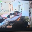 놀이후의 단잠~ 이미지
