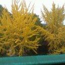 당곡고등학교 이미지