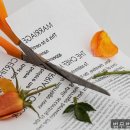 법무법인지원 | 법률사무소, 법무법인 태평양 진짜 상담 받은 후기 공유해요