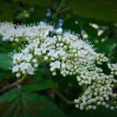 울타리행정사사무소 이미지