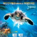 토토의 바다 이미지