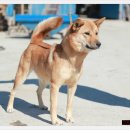 용순농장 이미지