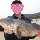 문양낚시터 이미지