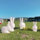 제주혁이네해장국 | 제주 3박 4일 여행 코스 DAY 3-4｜쇠소깍 보롬왓 &amp; 공항 근처 맛집