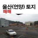 두북농협 하나로마트 | 울산 언양 반구대로 토지매매 창고용지 물류센터 신축부지 추천
