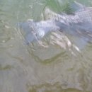 여주낚시터 이미지