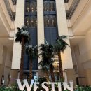 누렁이야식 | 괌 웨스틴 리조트 21개월 아기와 내돈내산 후기, 2 퀸베드 룸, 방 컨디션