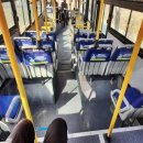 봄플란트치과의원 이미지