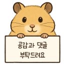 소로3-101 네이버블로그