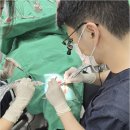 평촌심미치과의원 이미지